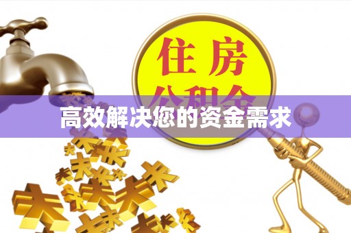莱山高效解决您的资金需求