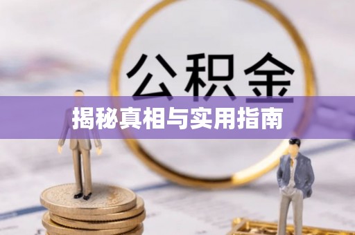 莱山揭秘真相与实用指南