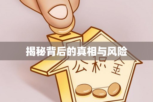 莱山揭秘背后的真相与风险