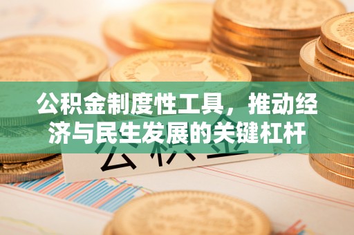 莱山公积金制度性工具，推动经济与民生发展的关键杠杆