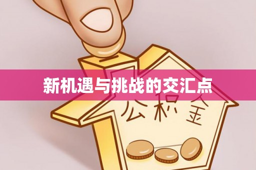 莱山新机遇与挑战的交汇点