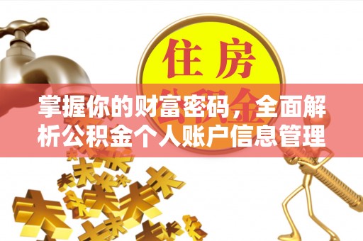 莱山掌握你的财富密码，全面解析公积金个人账户信息管理与优化