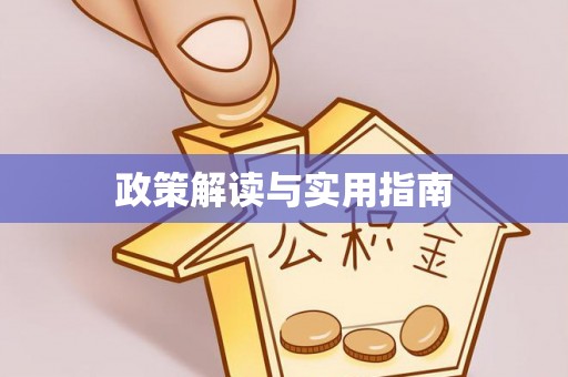 莱山政策解读与实用指南