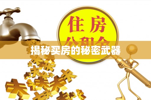 莱山揭秘买房的秘密武器