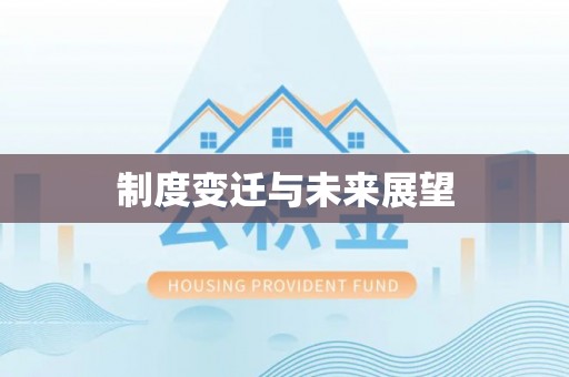 莱山制度变迁与未来展望