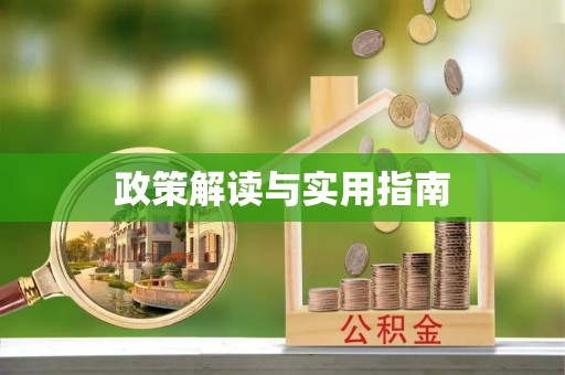 莱山政策解读与实用指南
