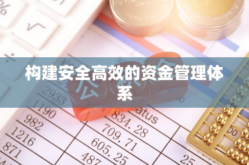 莱山构建安全高效的资金管理体系