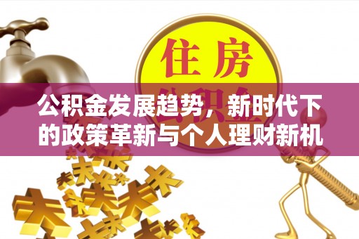 莱山公积金发展趋势，新时代下的政策革新与个人理财新机遇