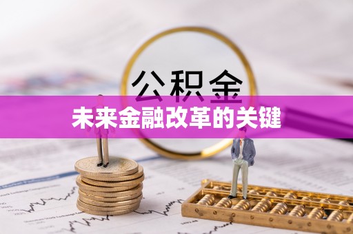 莱山未来金融改革的关键
