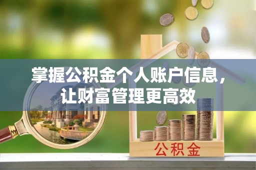莱山掌握公积金个人账户信息，让财富管理更高效