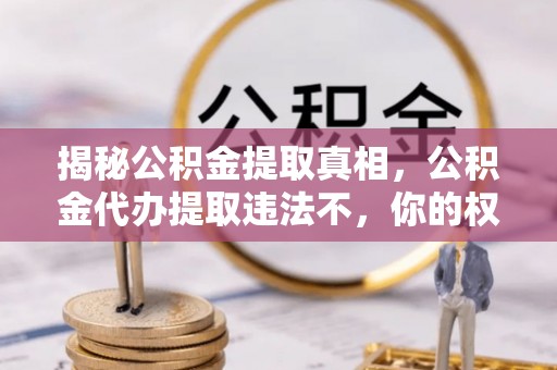 莱山揭秘公积金提取真相，公积金代办提取违法不，你的权益如何保障？