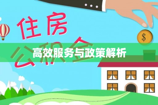 莱山高效服务与政策解析