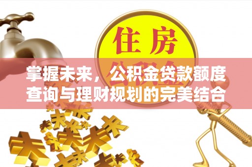 莱山掌握未来，公积金贷款额度查询与理财规划的完美结合