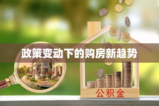 莱山政策变动下的购房新趋势