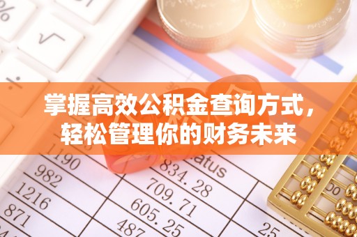 莱山掌握高效公积金查询方式，轻松管理你的财务未来