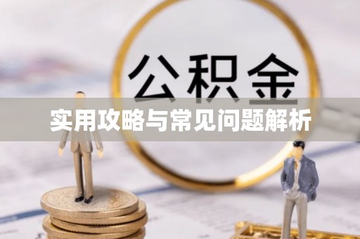 莱山实用攻略与常见问题解析