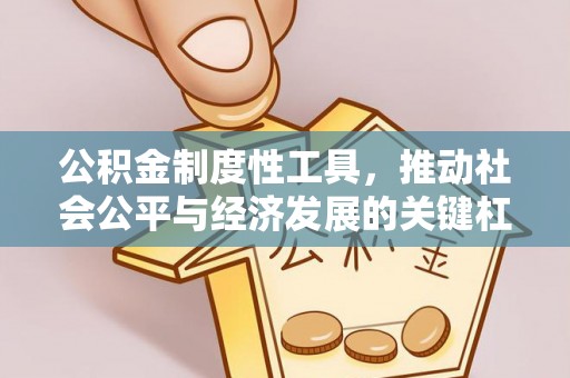莱山公积金制度性工具，推动社会公平与经济发展的关键杠杆