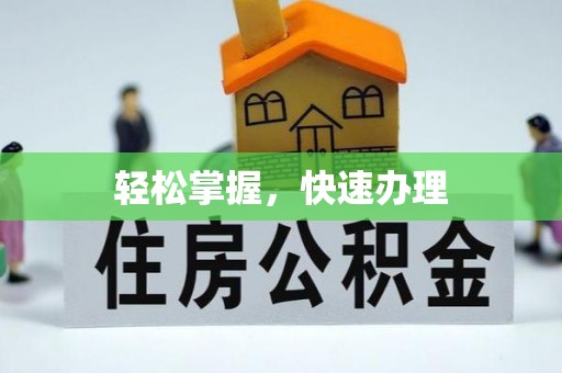 莱山轻松掌握，快速办理