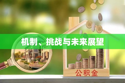 莱山机制、挑战与未来展望