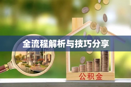 莱山全流程解析与技巧分享